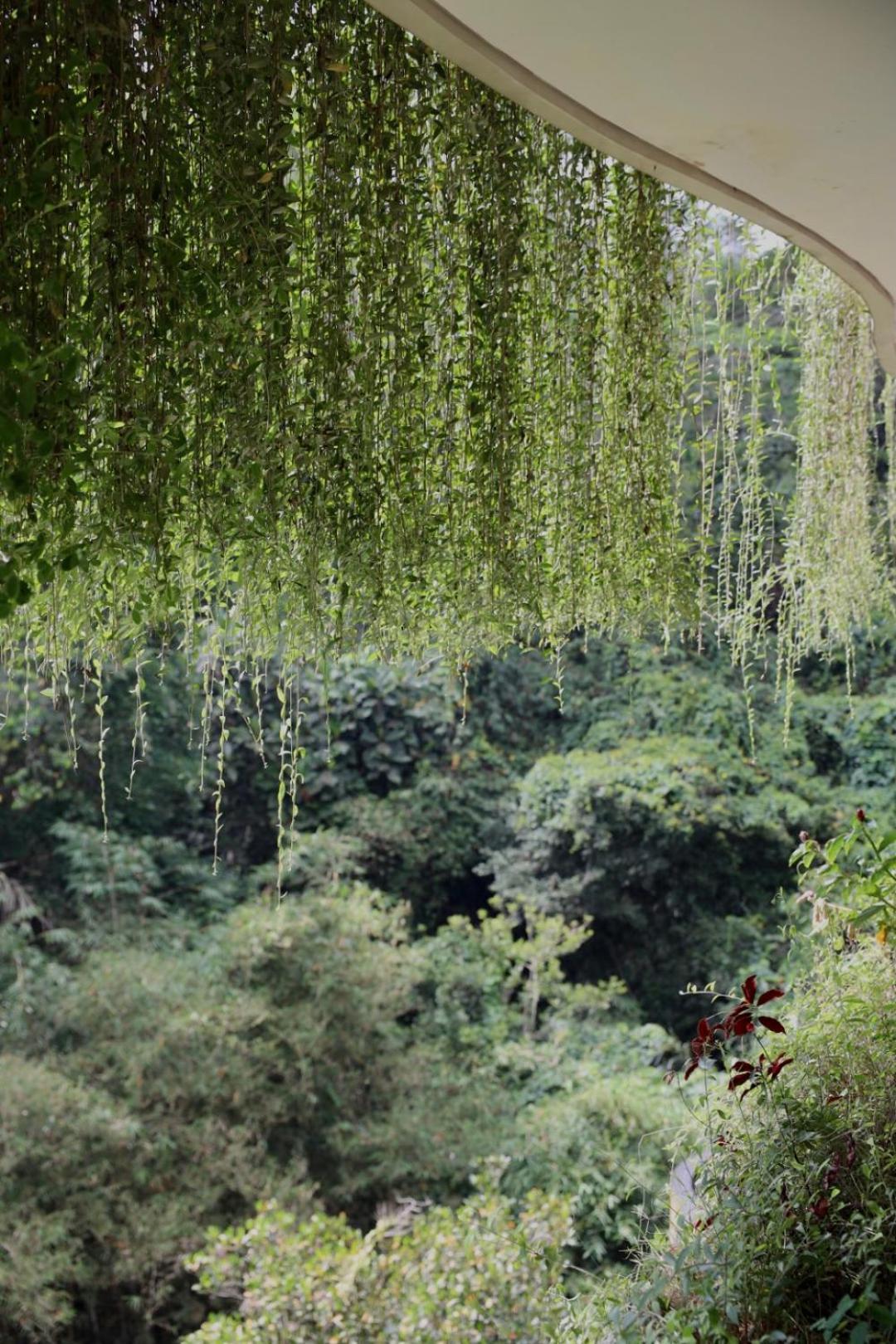 Kenran Resort Ubud By Soscomma Buitenkant foto